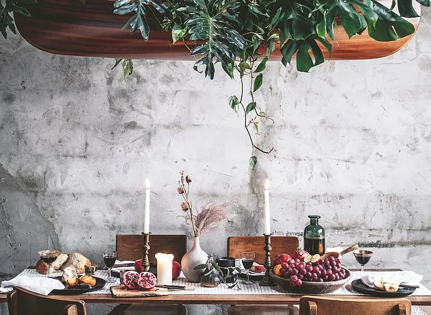 The rise of the ‘plantfluencers’ – and how to steal their style to bring a natural look to your interiors